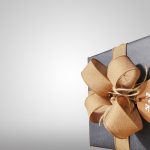 Idee regalo per Natale originali: Capi perfetti con  lo stiratore verticale